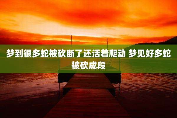 梦到很多蛇被砍断了还活着爬动 梦见好多蛇被砍成段