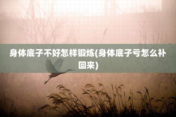 身体底子不好怎样锻炼(身体底子亏怎么补回来)