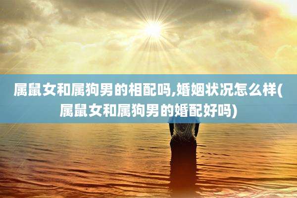 属鼠女和属狗男的相配吗,婚姻状况怎么样(属鼠女和属狗男的婚配好吗)