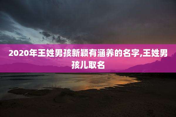 2020年王姓男孩新颖有涵养的名字,王姓男孩儿取名