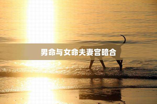 男命与女命夫妻宫暗合