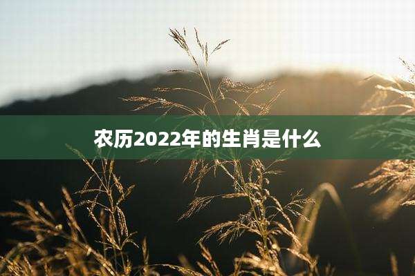 农历2022年的生肖是什么