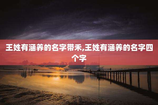 王姓有涵养的名字带禾,王姓有涵养的名字四个字