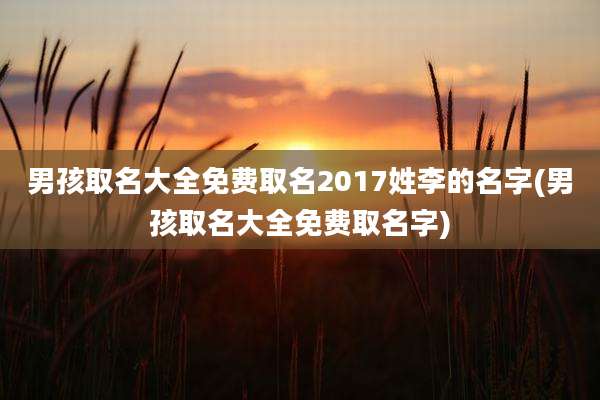 男孩取名大全免费取名2017姓李的名字(男孩取名大全免费取名字)