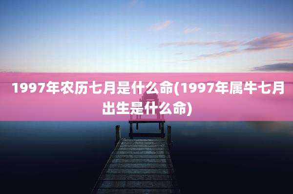 1997年农历七月是什么命(1997年属牛七月出生是什么命)