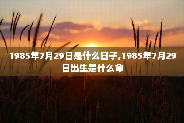 1985年7月29日是什么日子,1985年7月29日出生是什么命