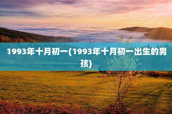 1993年十月初一(1993年十月初一出生的男孩)
