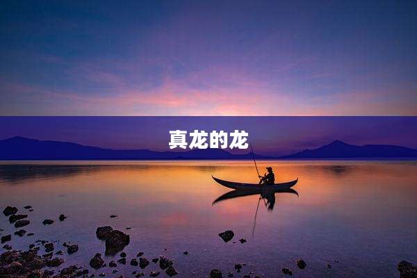 真龙的龙