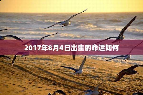 2017年8月4日出生的命运如何
