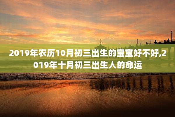 2019年农历10月初三出生的宝宝好不好,2019年十月初三出生人的命运
