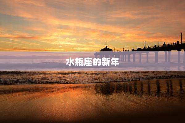 水瓶座的新年