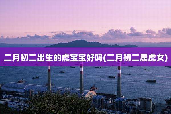 二月初二出生的虎宝宝好吗(二月初二属虎女)