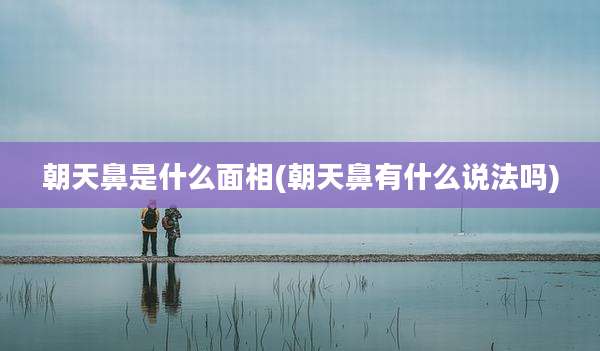 朝天鼻是什么面相(朝天鼻有什么说法吗)