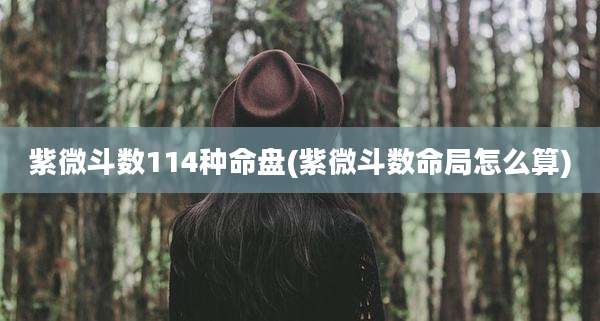 紫微斗数114种命盘(紫微斗数命局怎么算)