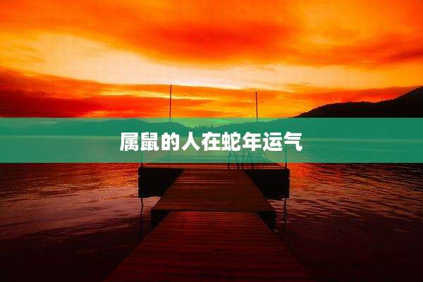 属鼠的人在蛇年运气