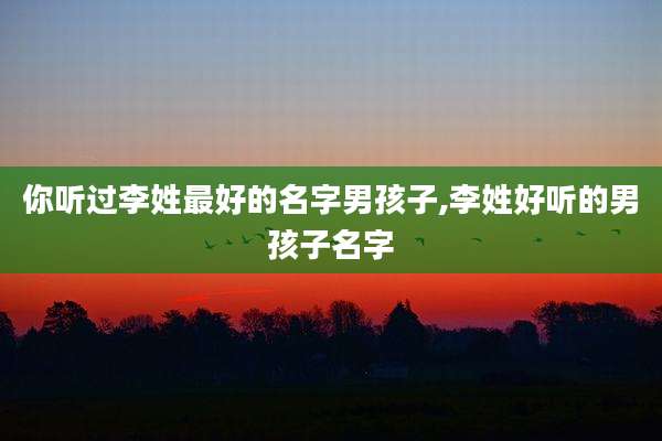 你听过李姓最好的名字男孩子,李姓好听的男孩子名字