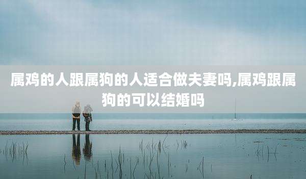 属鸡的人跟属狗的人适合做夫妻吗,属鸡跟属狗的可以结婚吗
