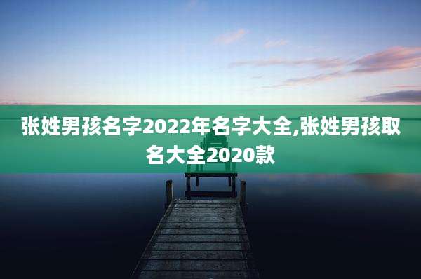 张姓男孩名字2022年名字大全,张姓男孩取名大全2020款