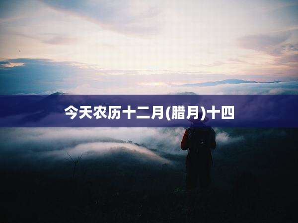 今天农历十二月(腊月)十四
