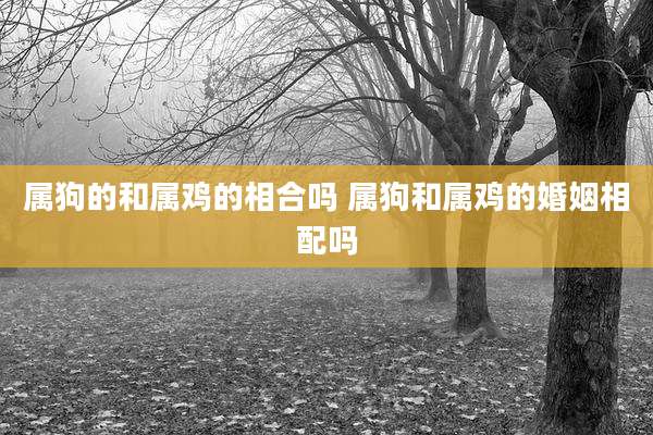 属狗的和属鸡的相合吗 属狗和属鸡的婚姻相配吗