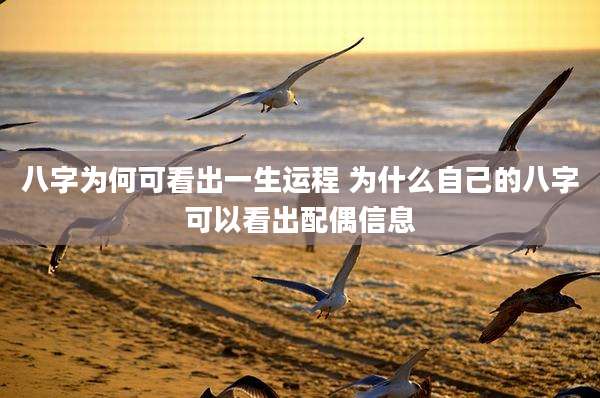 八字为何可看出一生运程 为什么自己的八字可以看出配偶信息