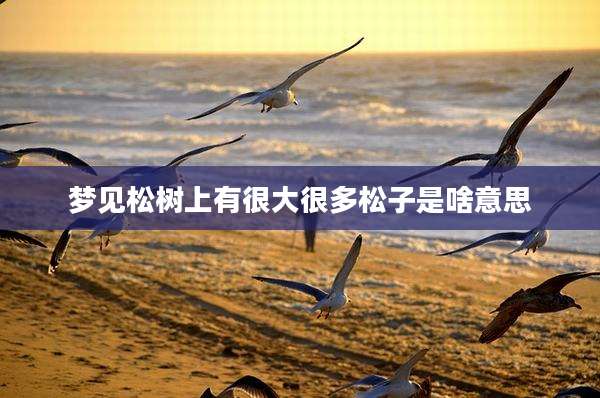 梦见松树上有很大很多松子是啥意思