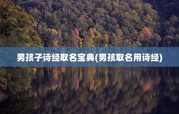 男孩子诗经取名宝典(男孩取名用诗经)