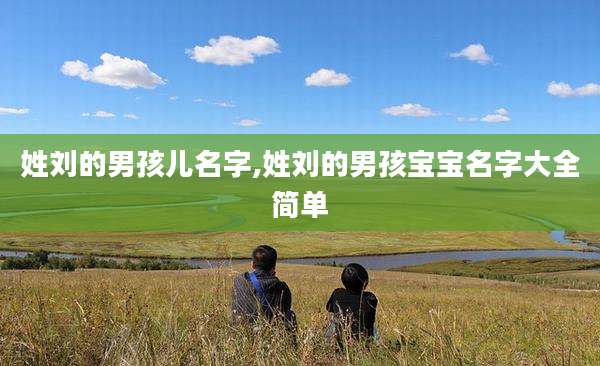 姓刘的男孩儿名字,姓刘的男孩宝宝名字大全简单