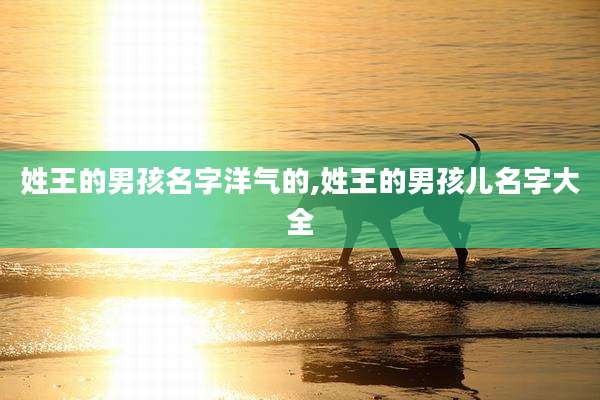 姓王的男孩名字洋气的,姓王的男孩儿名字大全