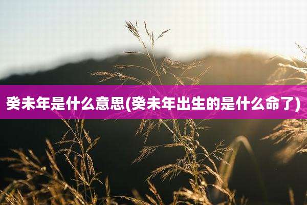 癸未年是什么意思(癸未年出生的是什么命了)