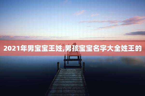 2021年男宝宝王姓,男孩宝宝名字大全姓王的