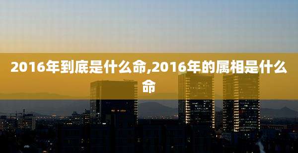 2016年到底是什么命,2016年的属相是什么命