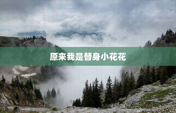 原来我是替身小花花