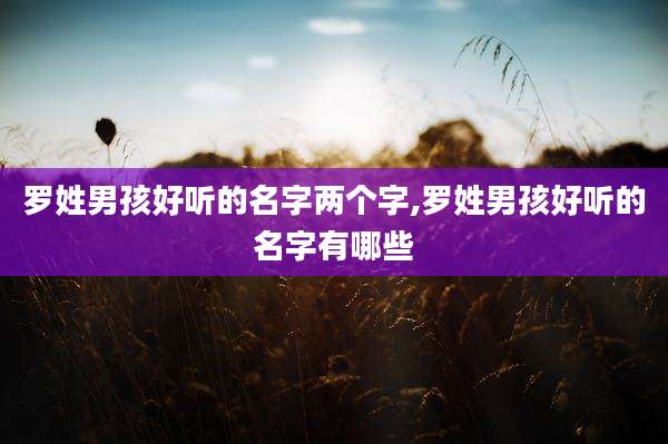 罗姓男孩好听的名字两个字,罗姓男孩好听的名字有哪些