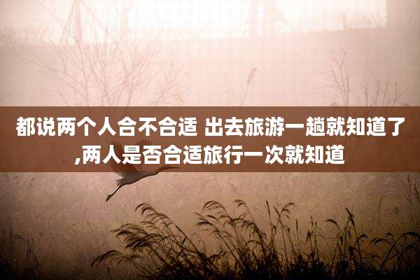 都说两个人合不合适 出去旅游一趟就知道了,两人是否合适旅行一次就知道