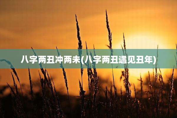八字两丑冲两未(八字两丑遇见丑年)
