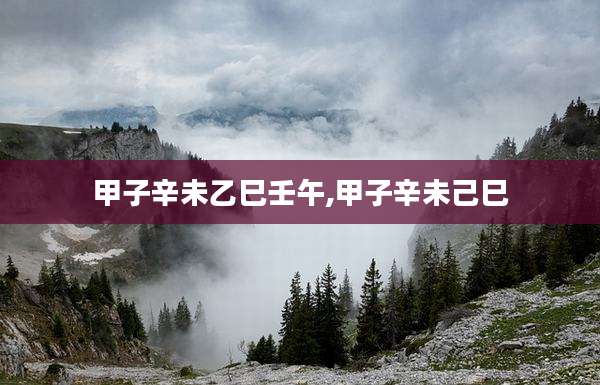 甲子辛未乙巳壬午,甲子辛未己巳