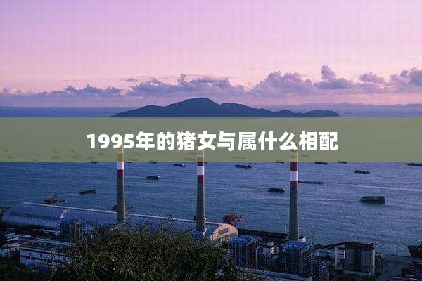 1995年的猪女与属什么相配
