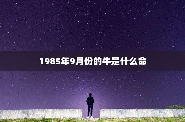 1985年9月份的牛是什么命