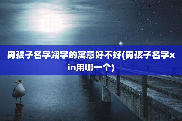 男孩子名字翊字的寓意好不好(男孩子名字xin用哪一个)