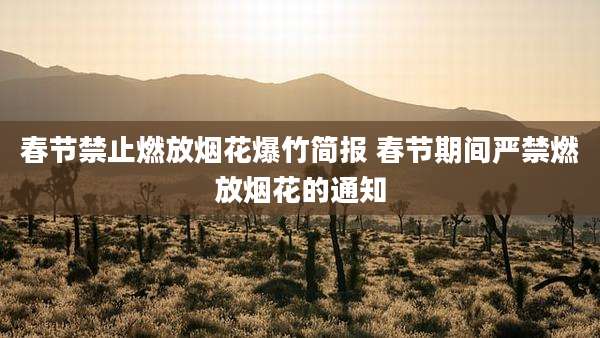 春节禁止燃放烟花爆竹简报 春节期间严禁燃放烟花的通知