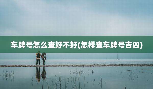 车牌号怎么查好不好(怎样查车牌号吉凶)