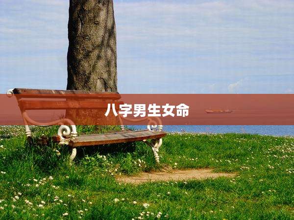 八字男生女命