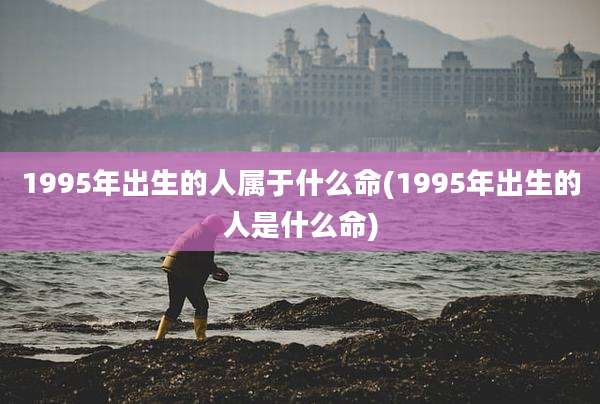 1995年出生的人属于什么命(1995年出生的人是什么命)