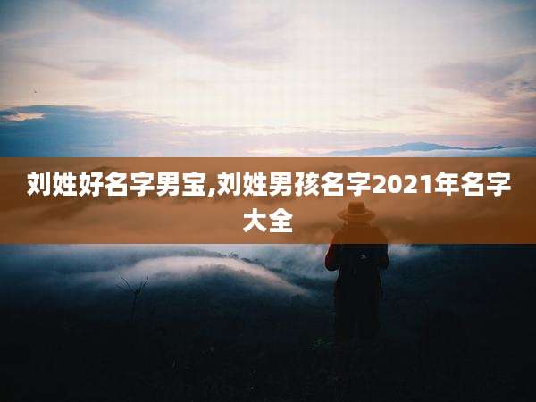 刘姓好名字男宝,刘姓男孩名字2021年名字大全