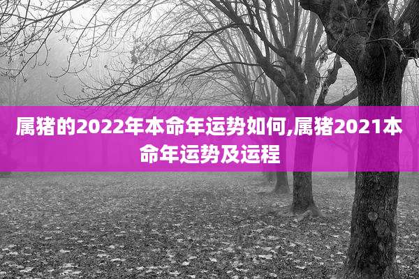 属猪的2022年本命年运势如何,属猪2021本命年运势及运程