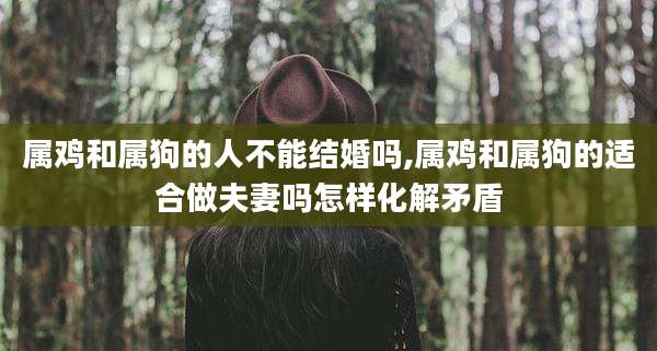 属鸡和属狗的人不能结婚吗,属鸡和属狗的适合做夫妻吗怎样化解矛盾