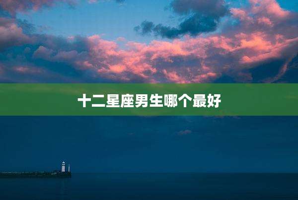 十二星座男生哪个最好