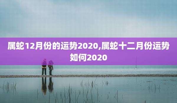 属蛇12月份的运势2020,属蛇十二月份运势如何2020