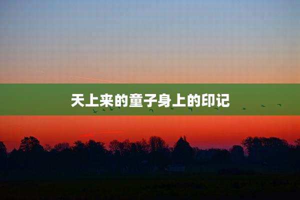 天上来的童子身上的印记